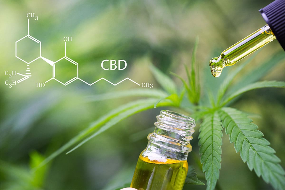 CBD Oil